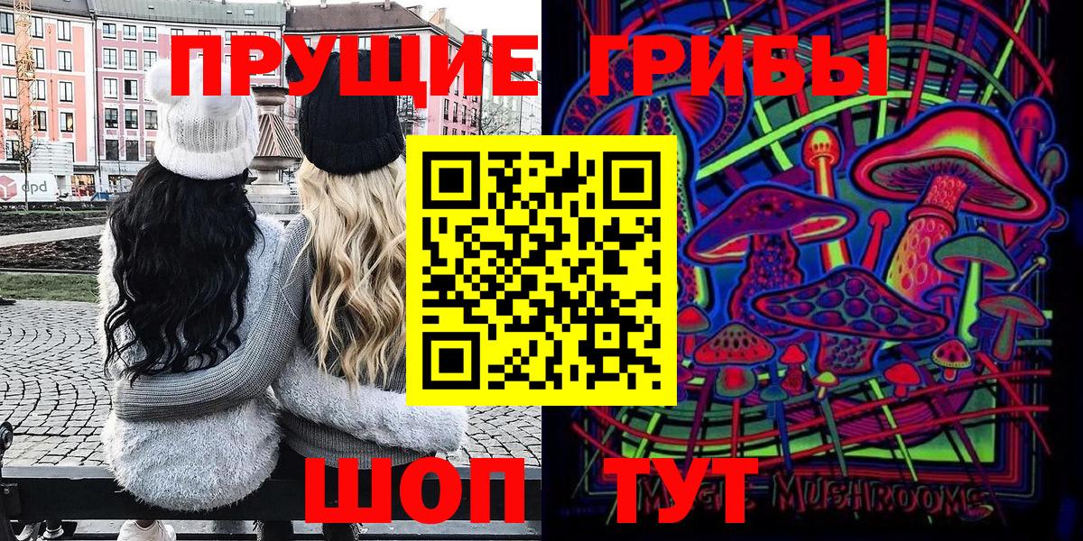Галлюциногенные грибы Psilocybe Волжск