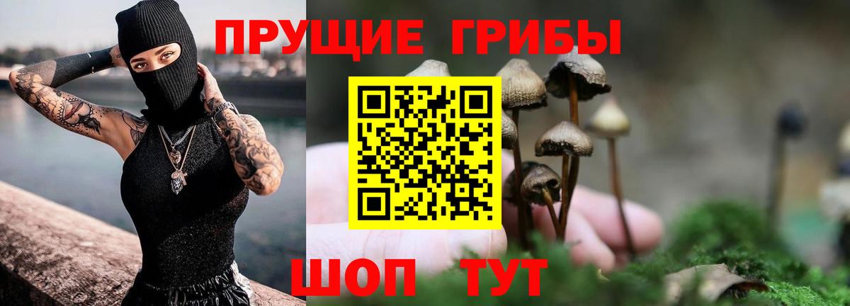 Галлюциногенные грибы Psilocybe  Вход с VPN  Галлюциногенные грибы мицелий  Волжск 